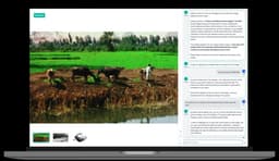 Social Studies Curriculum Provider